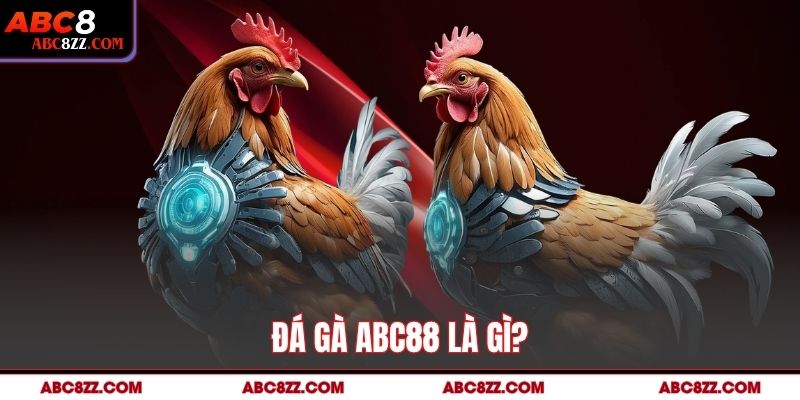 Đá Gà Abc8 là gì?
