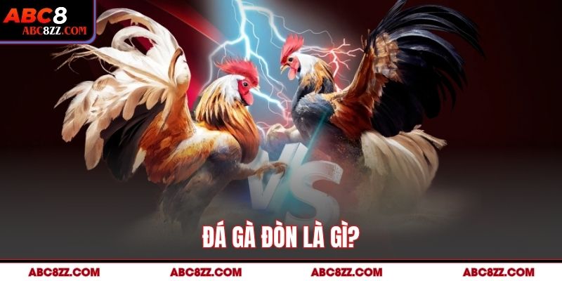 Đá Gà Đòn Là Gì?