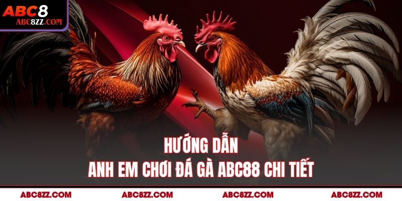 Hướng Dẫn Anh Em Chơi Đá Gà Abc8 Chi Tiết