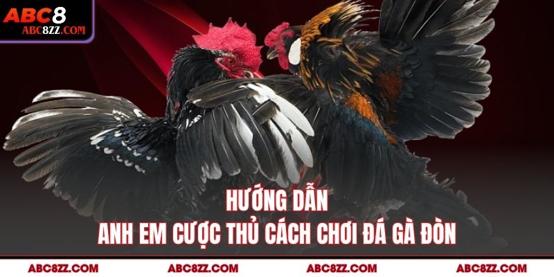 Hướng dẫn anh em cược thủ cách chơi Đá Gà Đòn