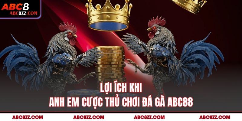 Lợi Ích Khi Anh Em Cược Thủ Chơi Đá Gà Abc8