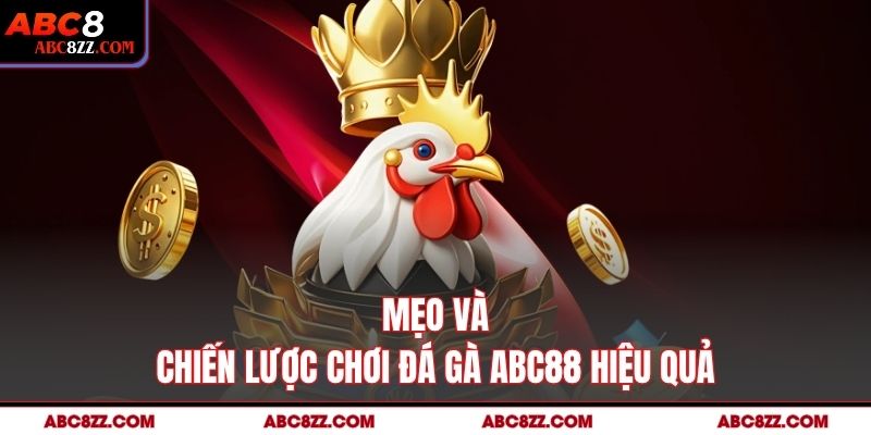 Mẹo và Chiến Lược Chơi Đá Gà Abc8 Hiệu Quả