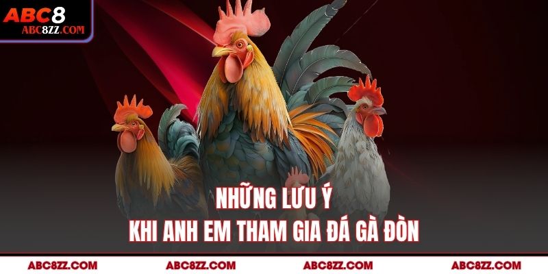 Những lưu ý khi anh em tham gia Đá Gà Đòn